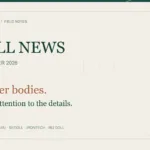 Dolls Review — September 2026 news cover